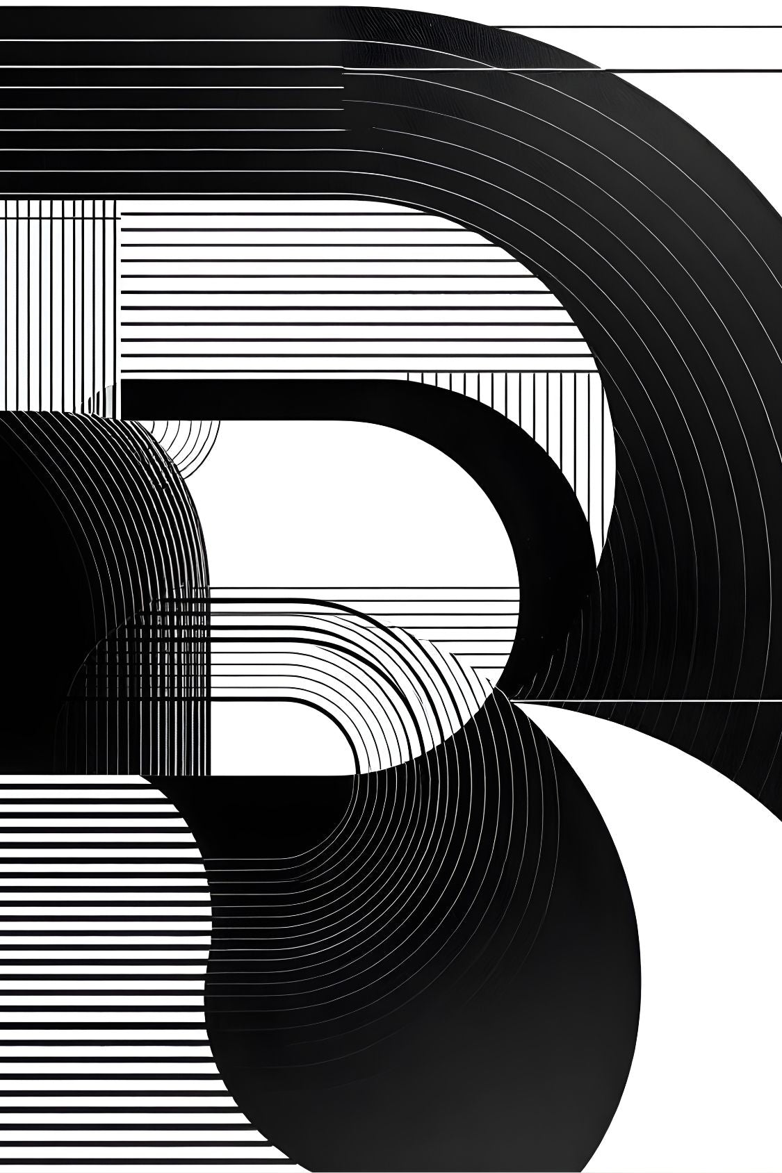 Tableau abstrait noir et blanc aux lignes graphiques et courbes minimalistes
