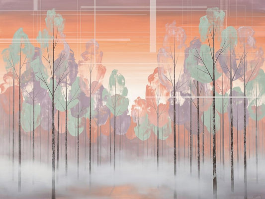 Paysage calme forêt brumeuse
