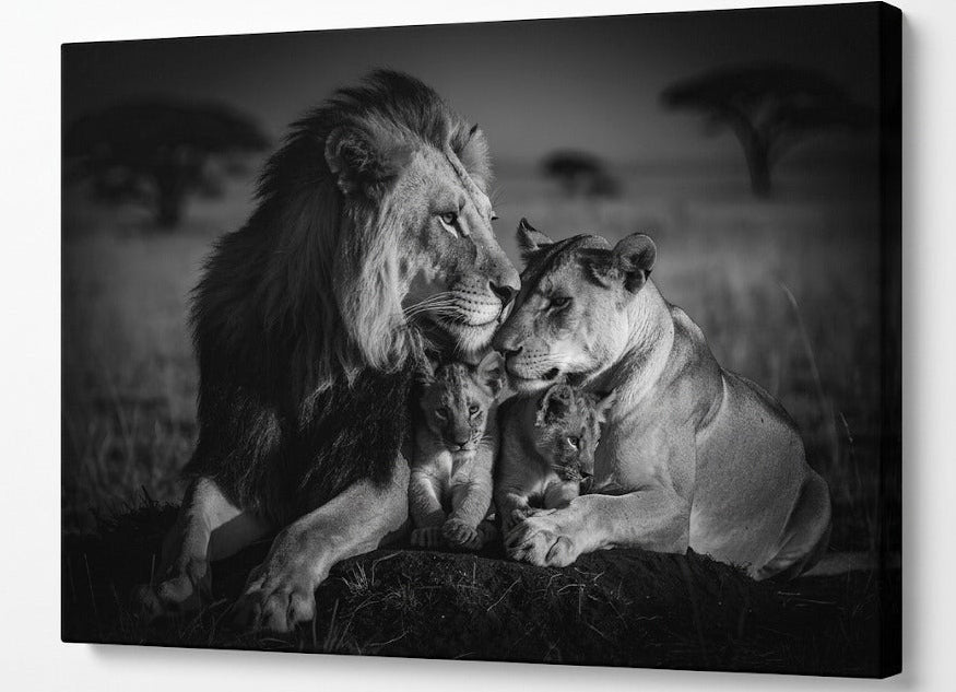 Vue de profil révélant les détails de la photographie animalière et la qualité d'impression
