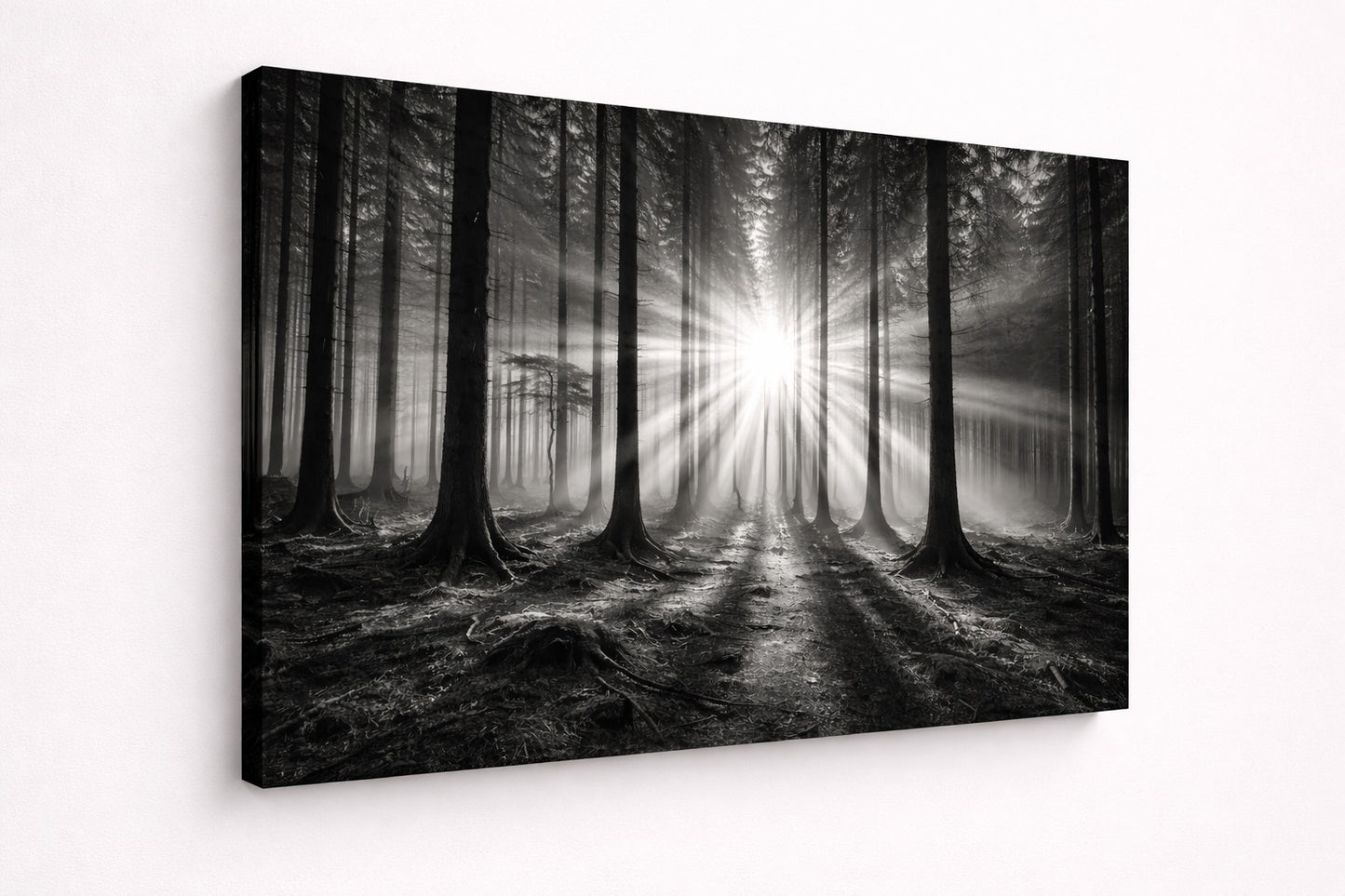 Vue de profil de la photo artistique Lumière Forestière sur châssis toile, détails des contrastes et des jeux de lumière, impression haute qualité.