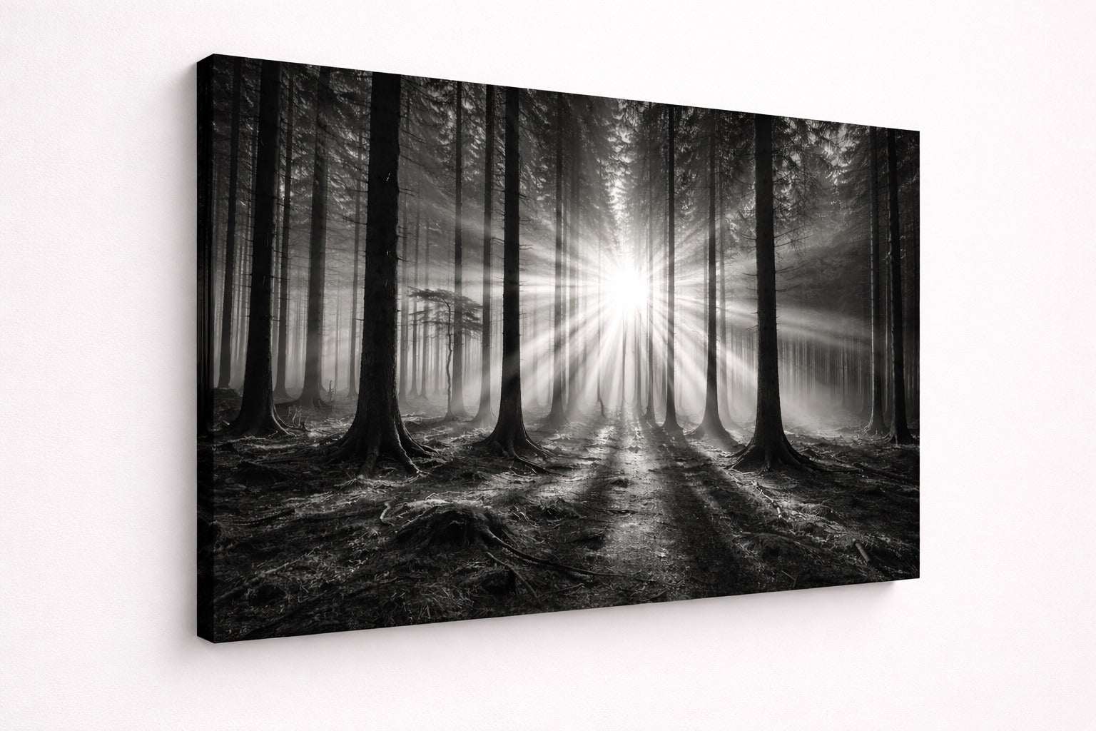 Vue de profil de la photo artistique Lumière Forestière sur châssis toile, détails des contrastes et des jeux de lumière, impression haute qualité.