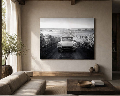 Tableau automobile noir et blanc dans vignoble français ambiance calme et élégante

