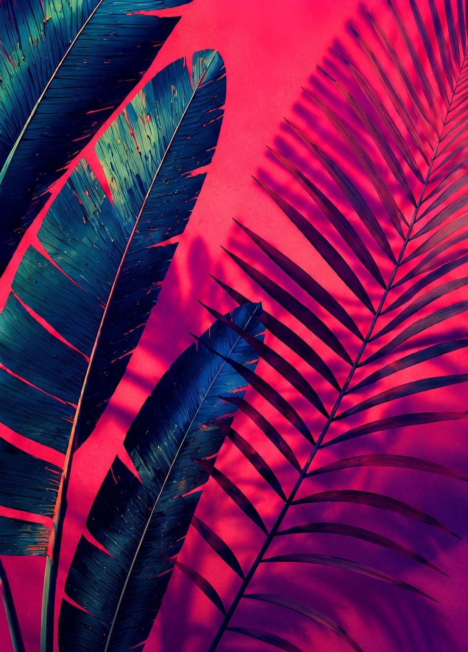 Tableau déco tropical avec grandes feuilles de bananier et palmier bleu profond sur fond rose fuchsia
