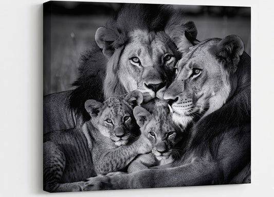 Tableau lions noir et blanc famille sauvage avec ambiance photographique élégante et moderne
