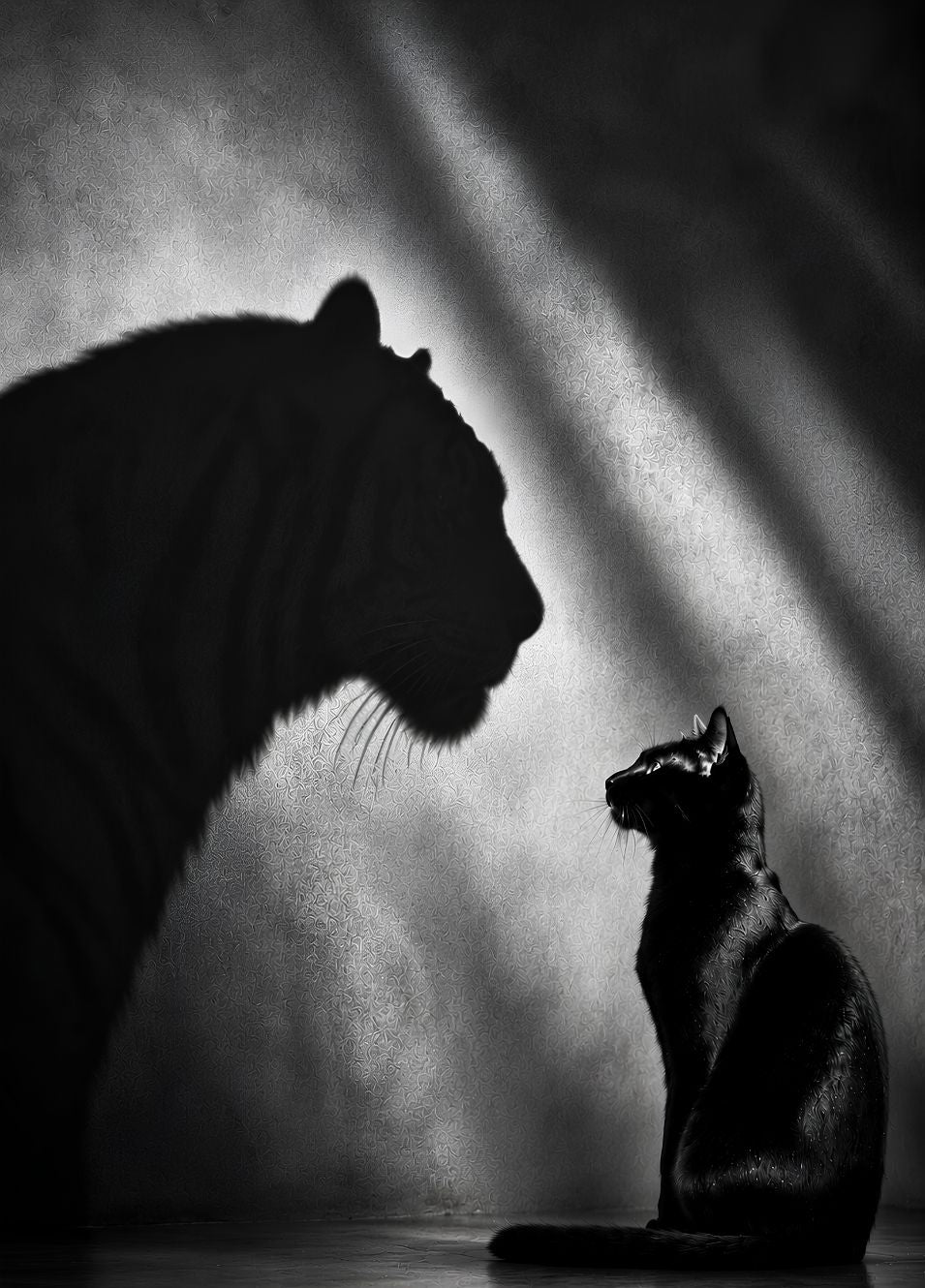 Photographie artistique noir et blanc représentant un chat face à l'ombre majestueuse d'un tigre
