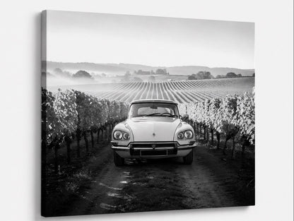 Tableau voiture vintage noir et blanc Citroën DS face avant dans décor naturel campagne
