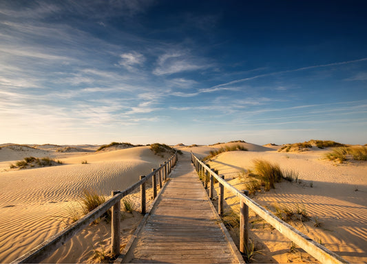 Tableau photo de dunes et chemin en bois menant vers la mer
