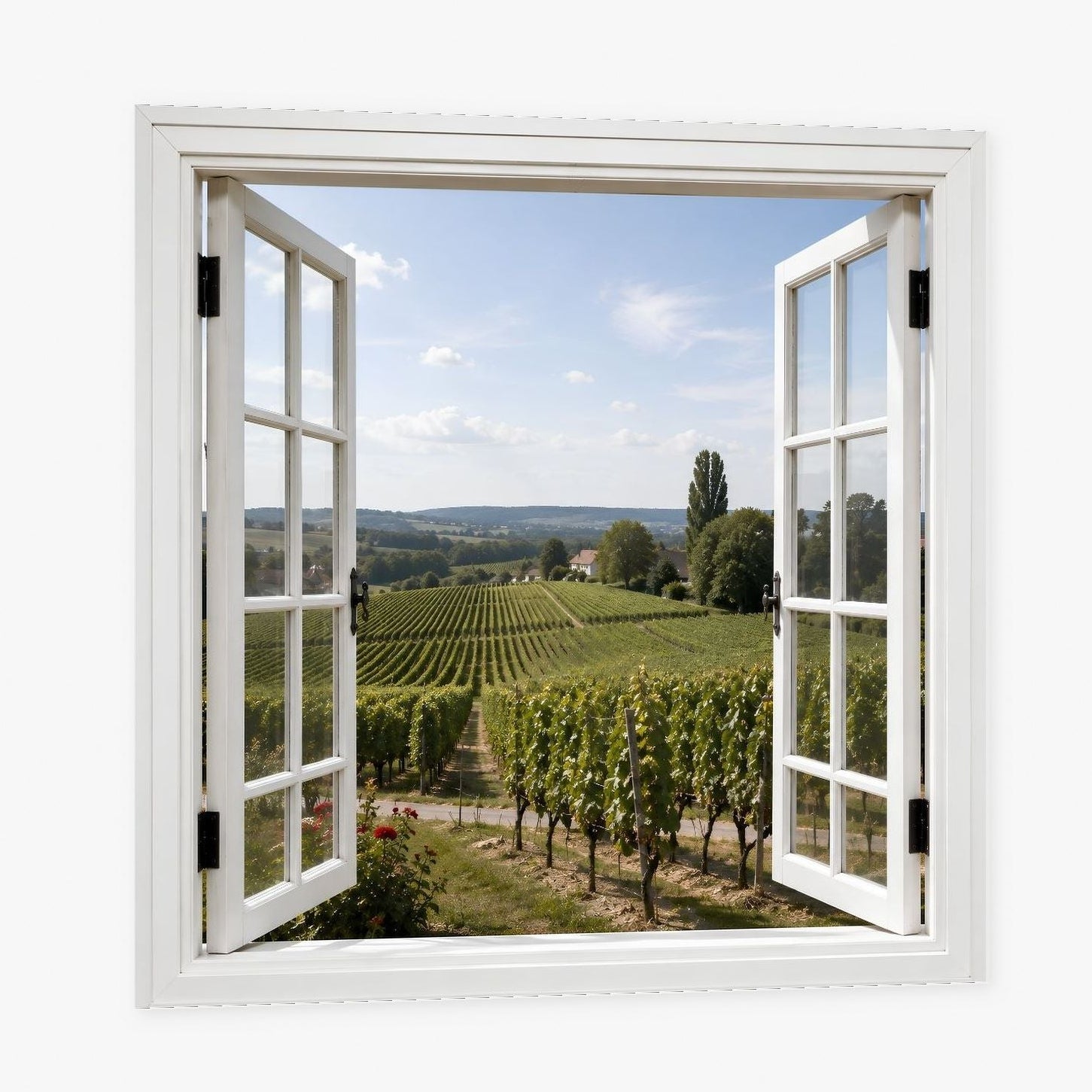 Paysage viticole aux rangées de vignes et collines verdoyantes de Vue sur les Vignes
